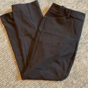 Express dress pant
